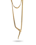 Collier Snake